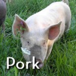 Pastured Pork for Sale
